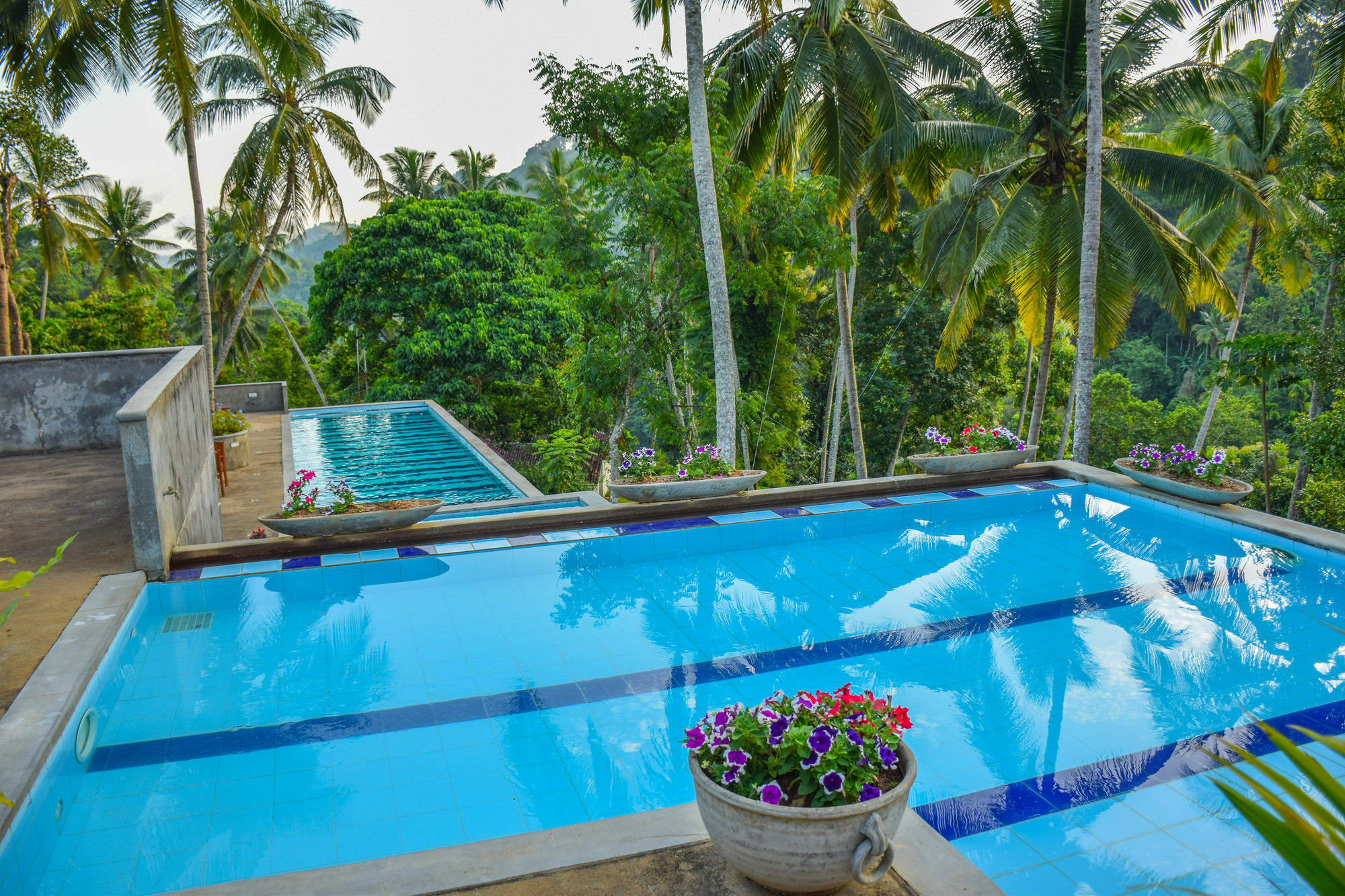 Athulya Villas Kandy Ngoại thất bức ảnh